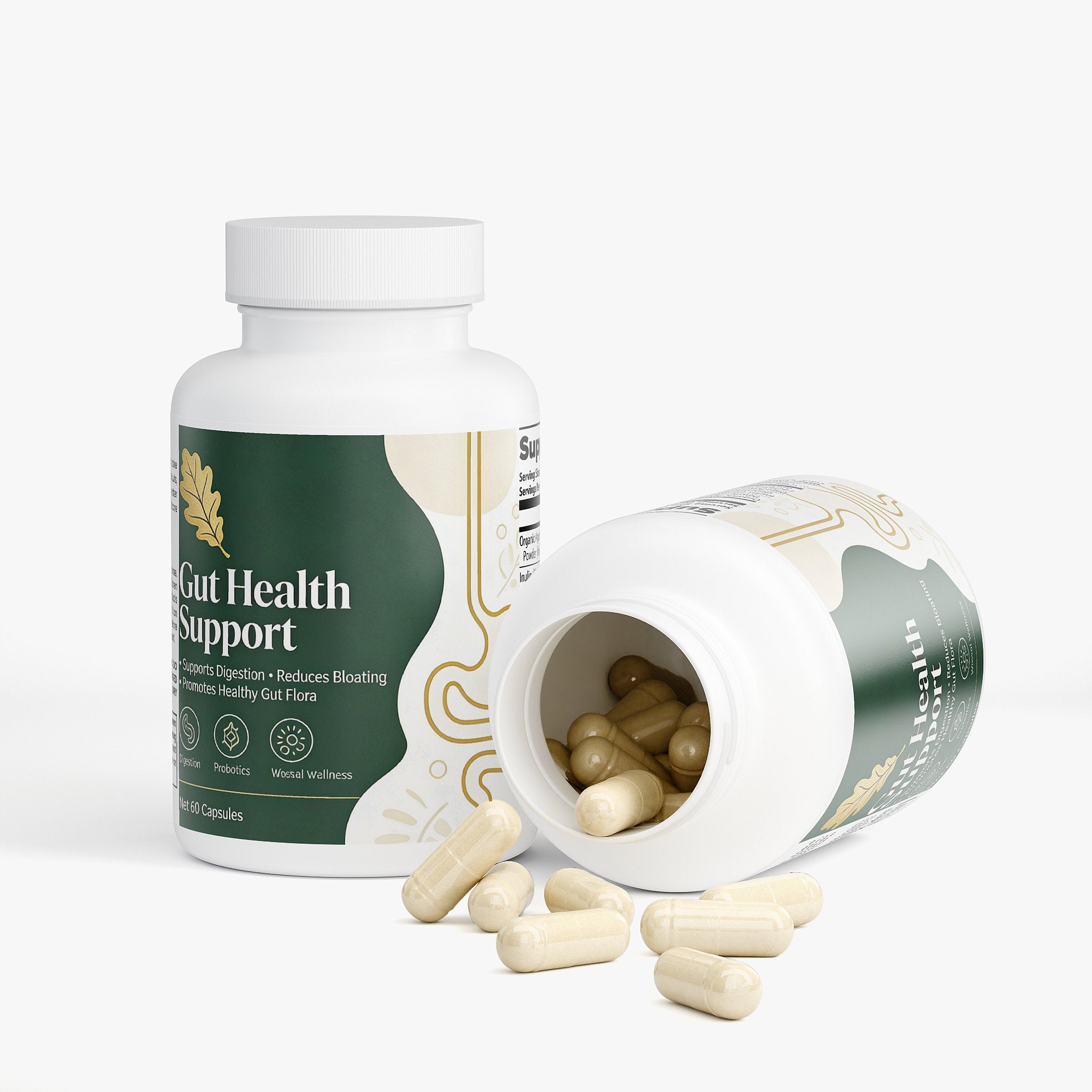Gut Health – Probiotic & Digestive Wellness Formula | NaturalOaks