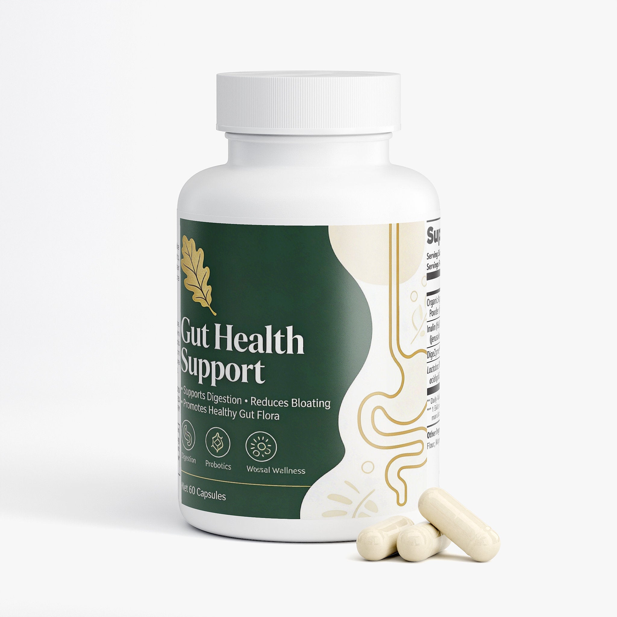 Gut Health – Probiotic & Digestive Wellness Formula | NaturalOaks