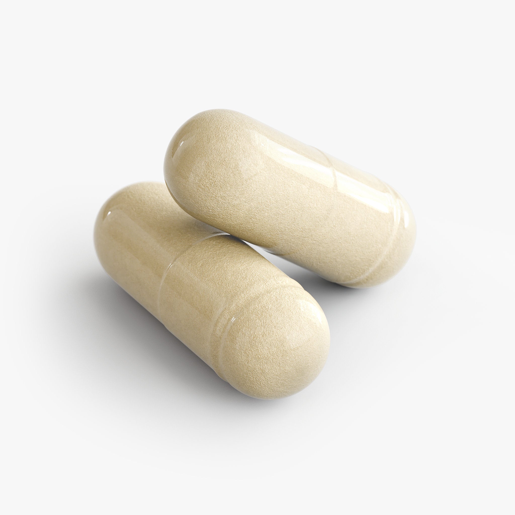 Gut Health – Probiotic & Digestive Wellness Formula | NaturalOaks